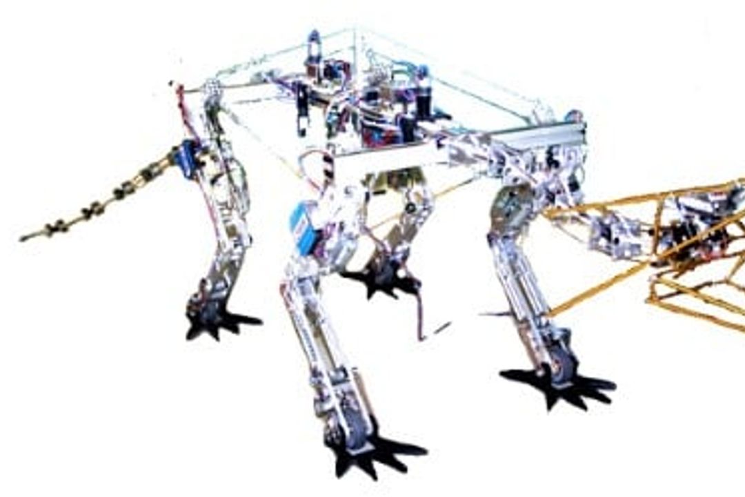 Wie der High-Tech-Drache entstand