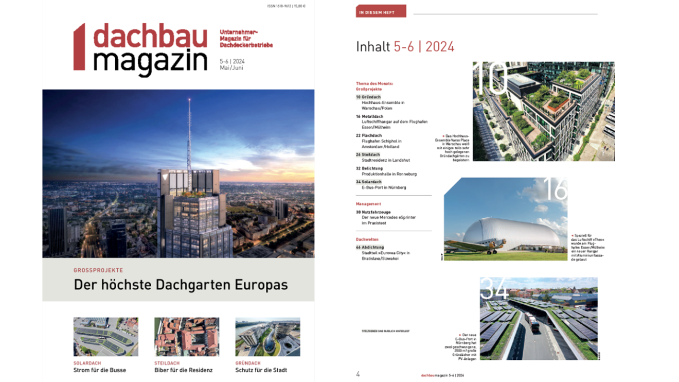 dachbaumagazin Ausgabe 0506.2024