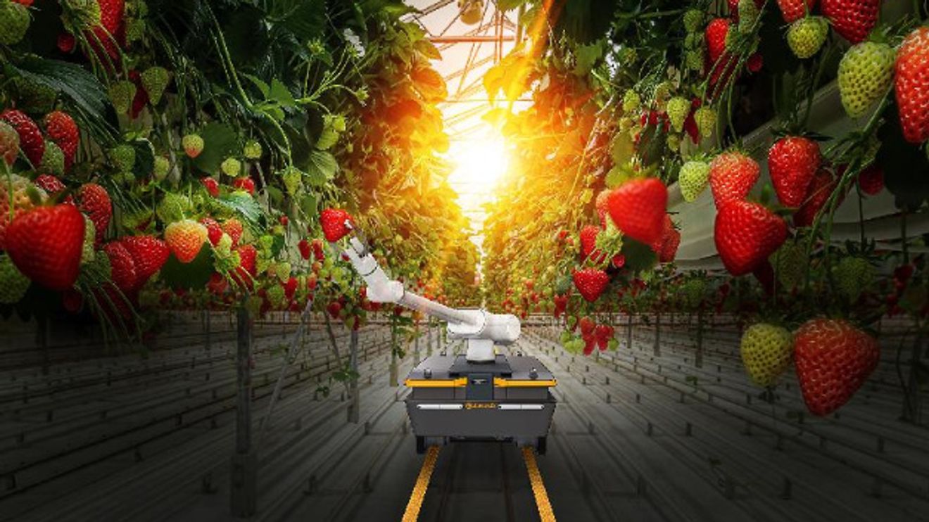 Continental Agriculture