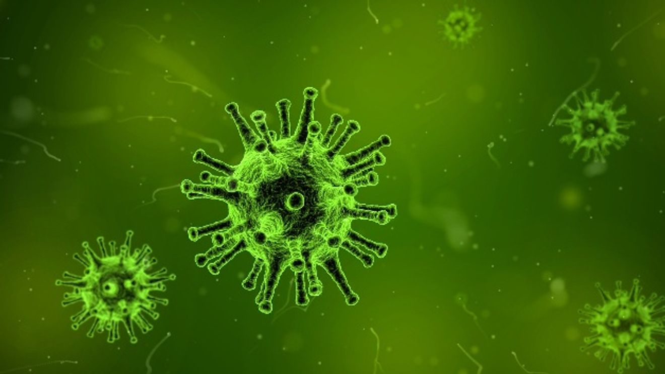 Coronavirus Coronavirus