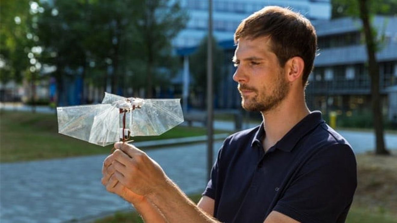 Lead developer Matej Karásek with his flying robot DelFly Nimble Lead developer Matej Karásek with his flying robot DelFly Nimble