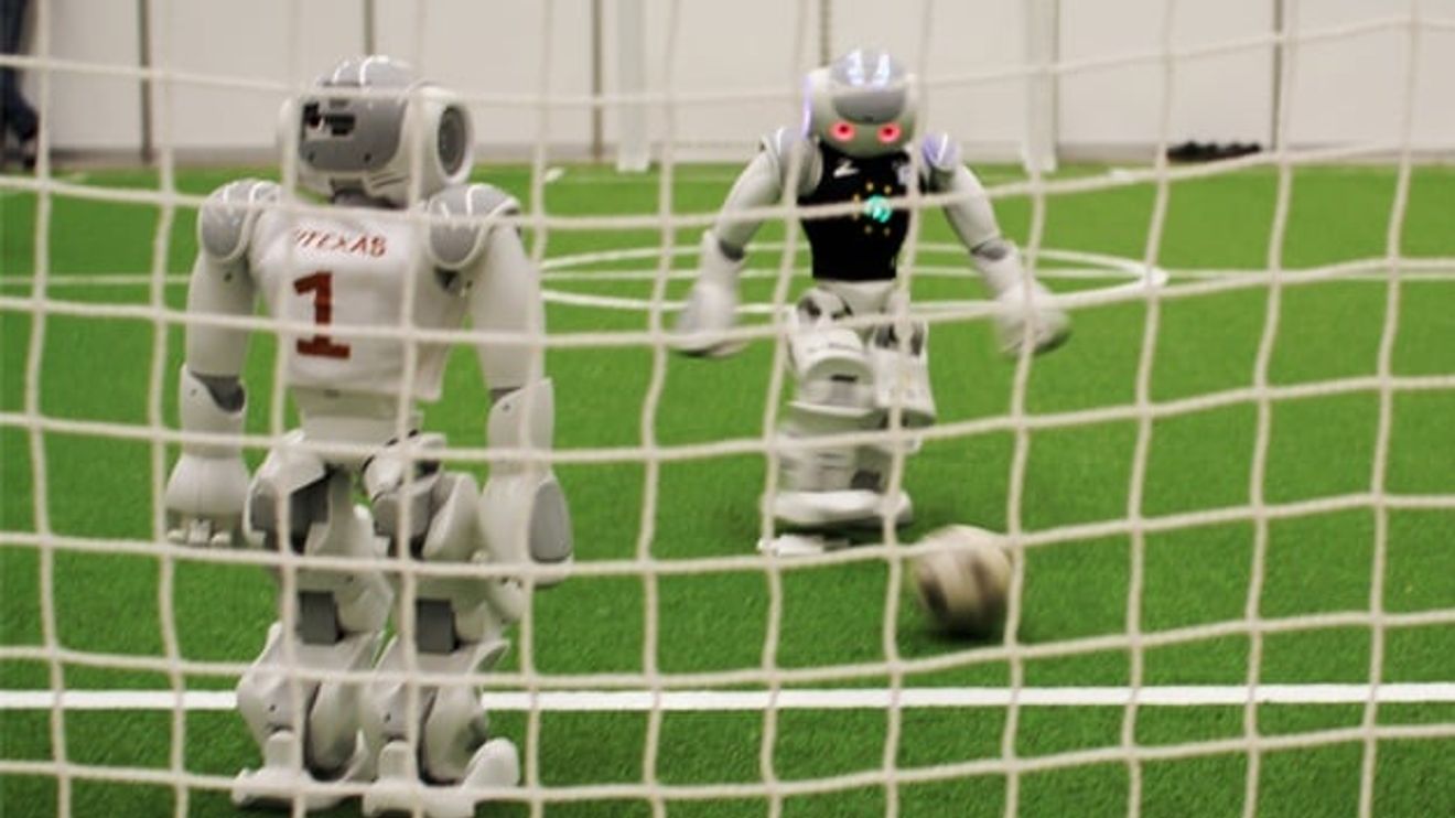 6_Nao robot in front of the gate