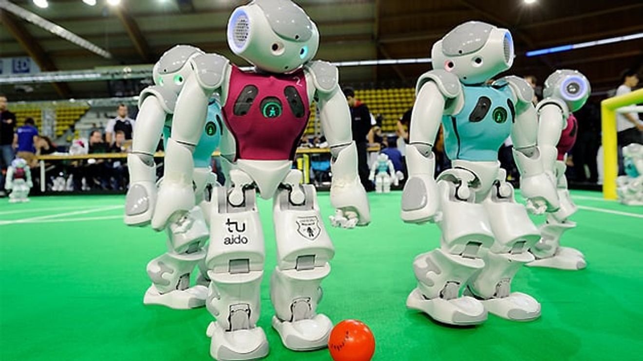 Nao-Roboter im Spiel, RoboCup-Federation