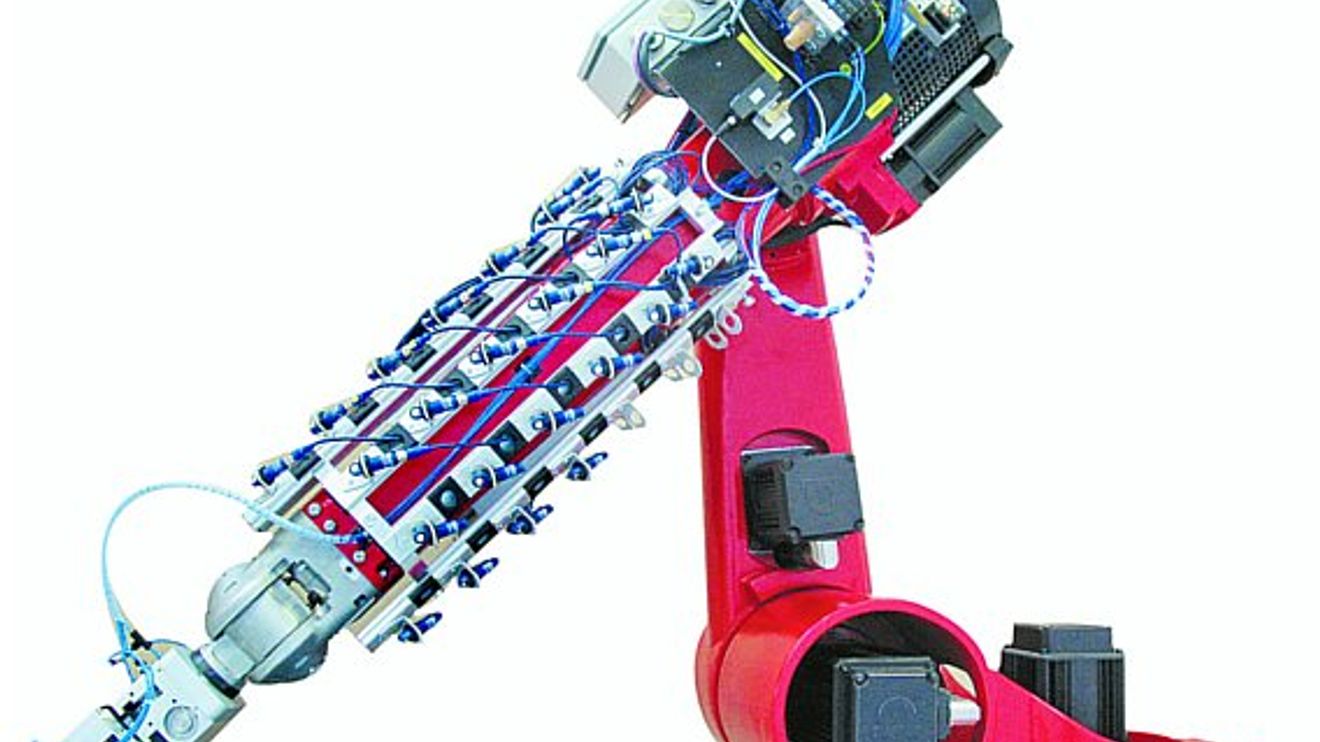 TUM, Untesuchung auf Basis eines Reis Roboters, Bild2