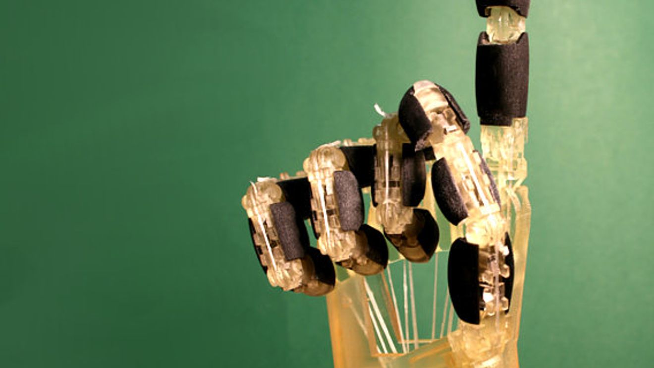 Universität des Saarlandes/Universität Bologna, Roboterhand