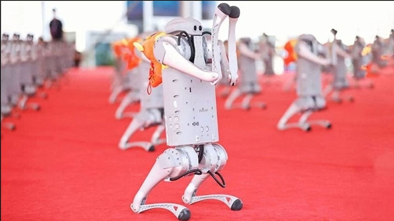 Unitree robots at the "World Robotics Conference 2024"