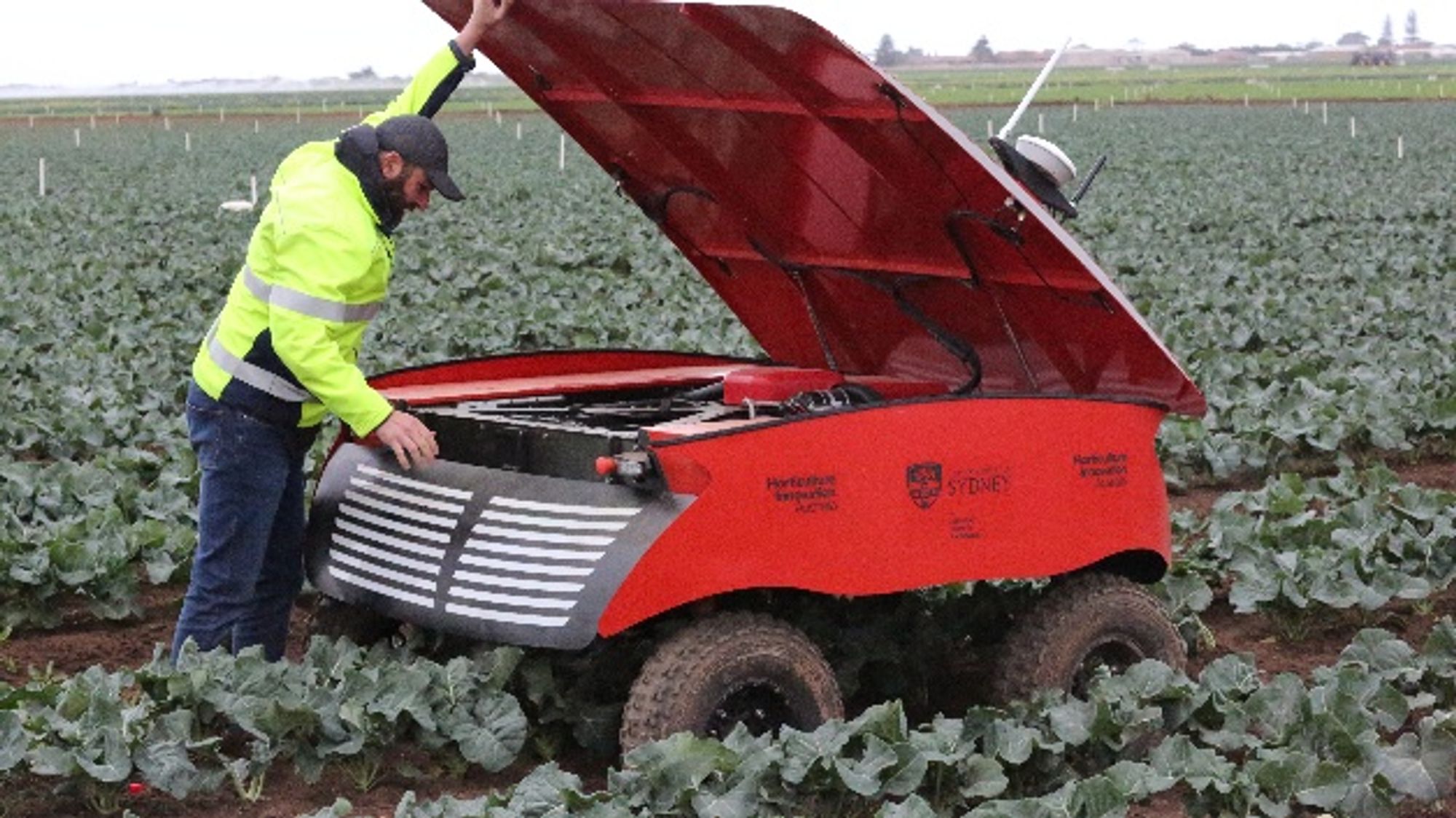 The Rippa team recently completed a successful field trial of a broccoli crop in Werribee, Victoria.