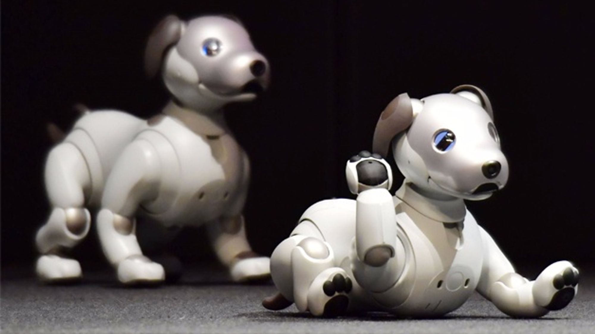 Roboterhund Aibo ERS-1000