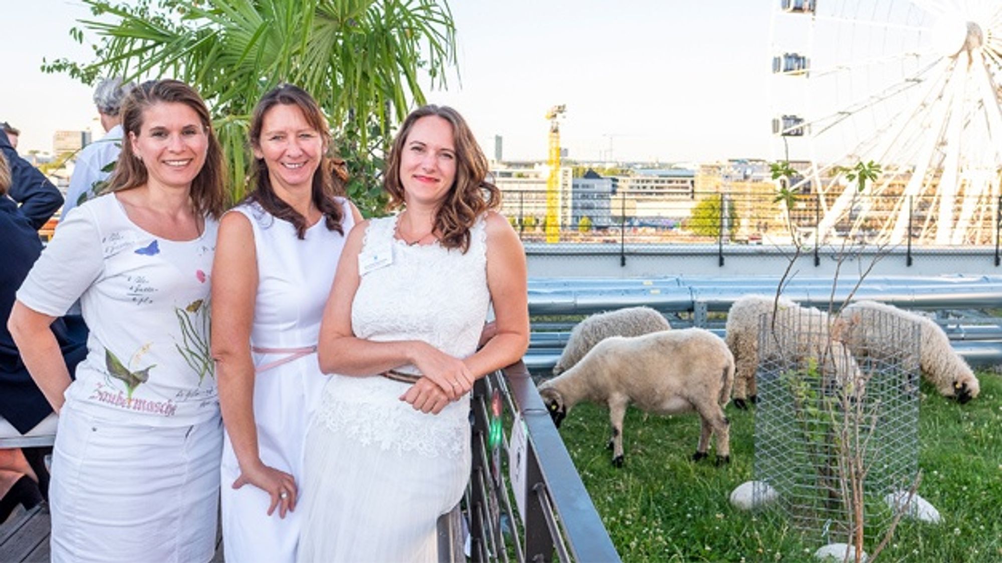 16_Sommernachtsfest 2019