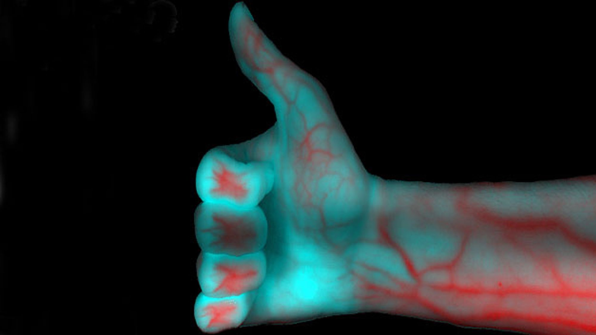 Image processing system based on Chemical Color Imaging technology from Stemmer Imaging