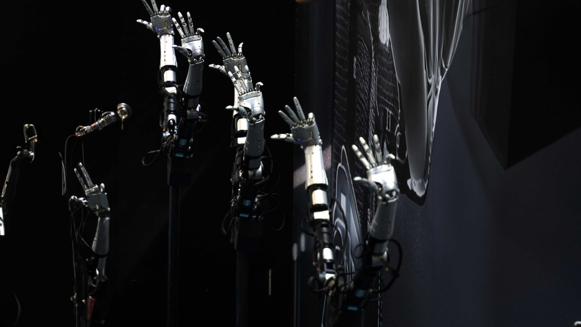 Intelligent robot hands WRC 2024 Intelligent robot hands WRC 2024