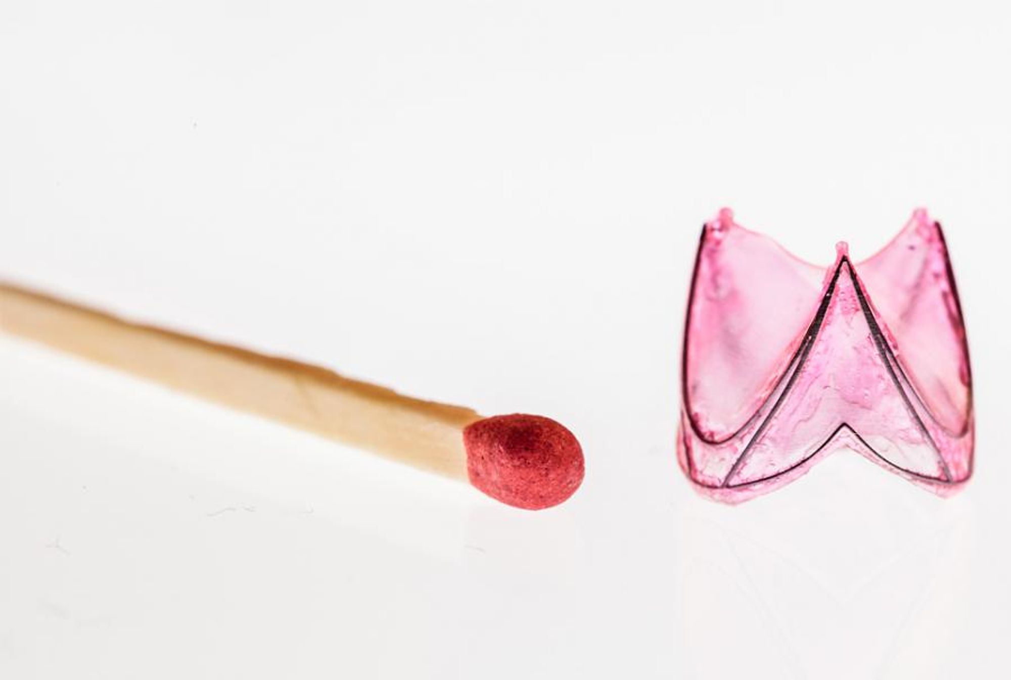 Elastopolymer venous valve prosthesis compared in size with a matchstick Elastopolymer venous valve prosthesis compared in size with a matchstick