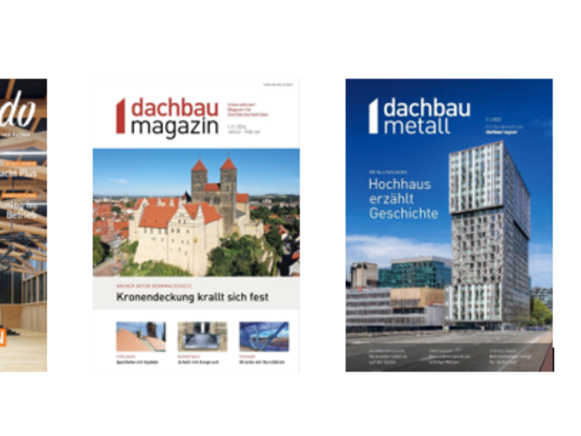Cover mikado, dachbaumagazin und dachbaumetall Cover mikado, dachbaumagazin und dachbaumetall