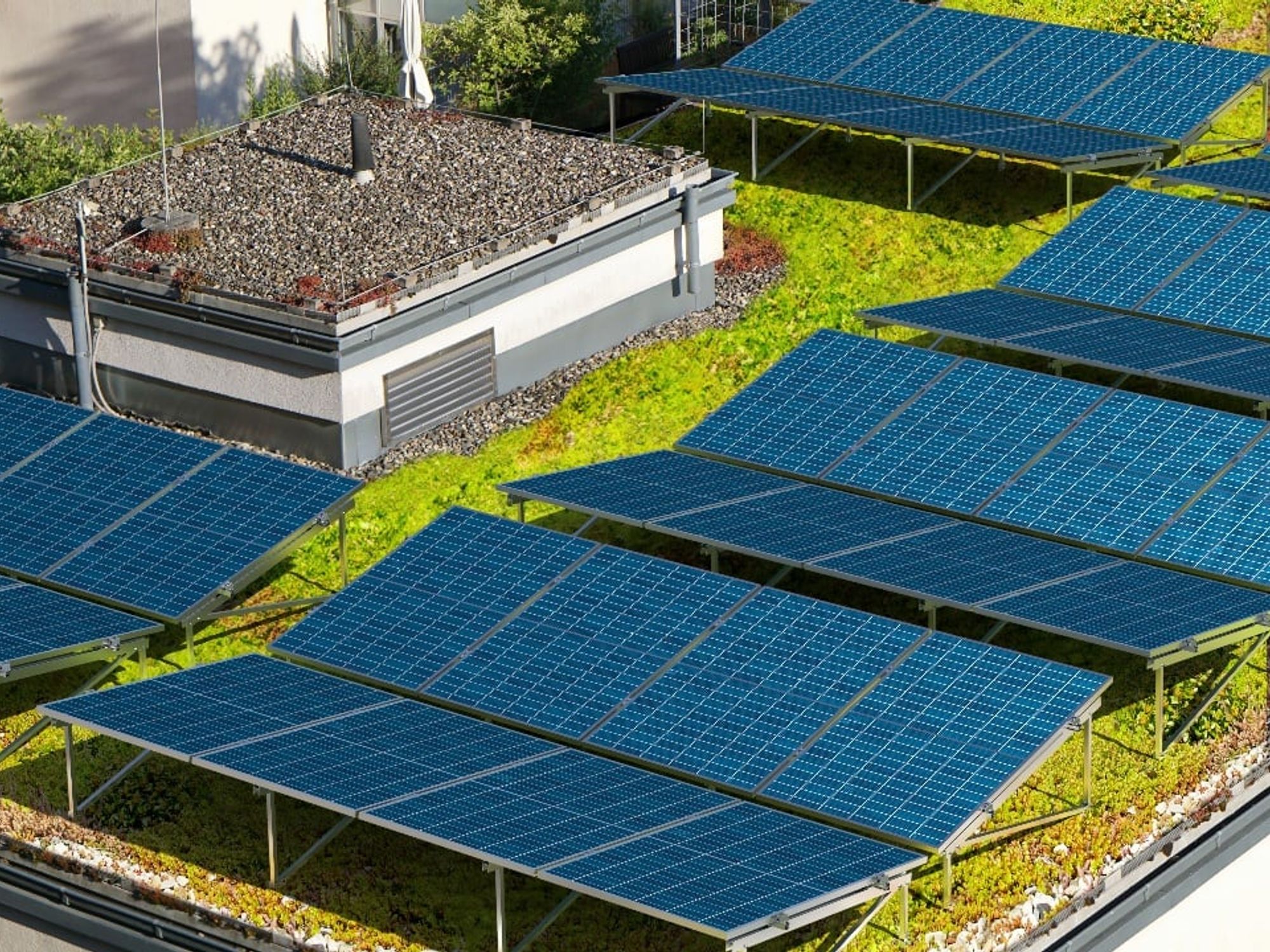 GreenRoof Vento
