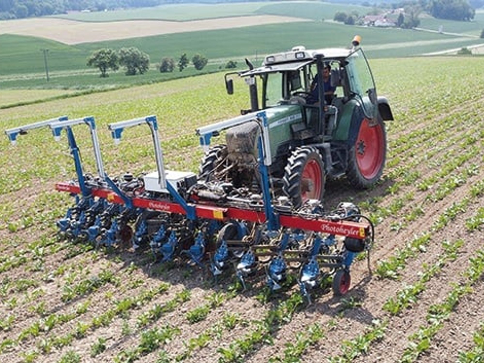Positioning hoeing tools when weeding Positioning hoeing tools when weeding