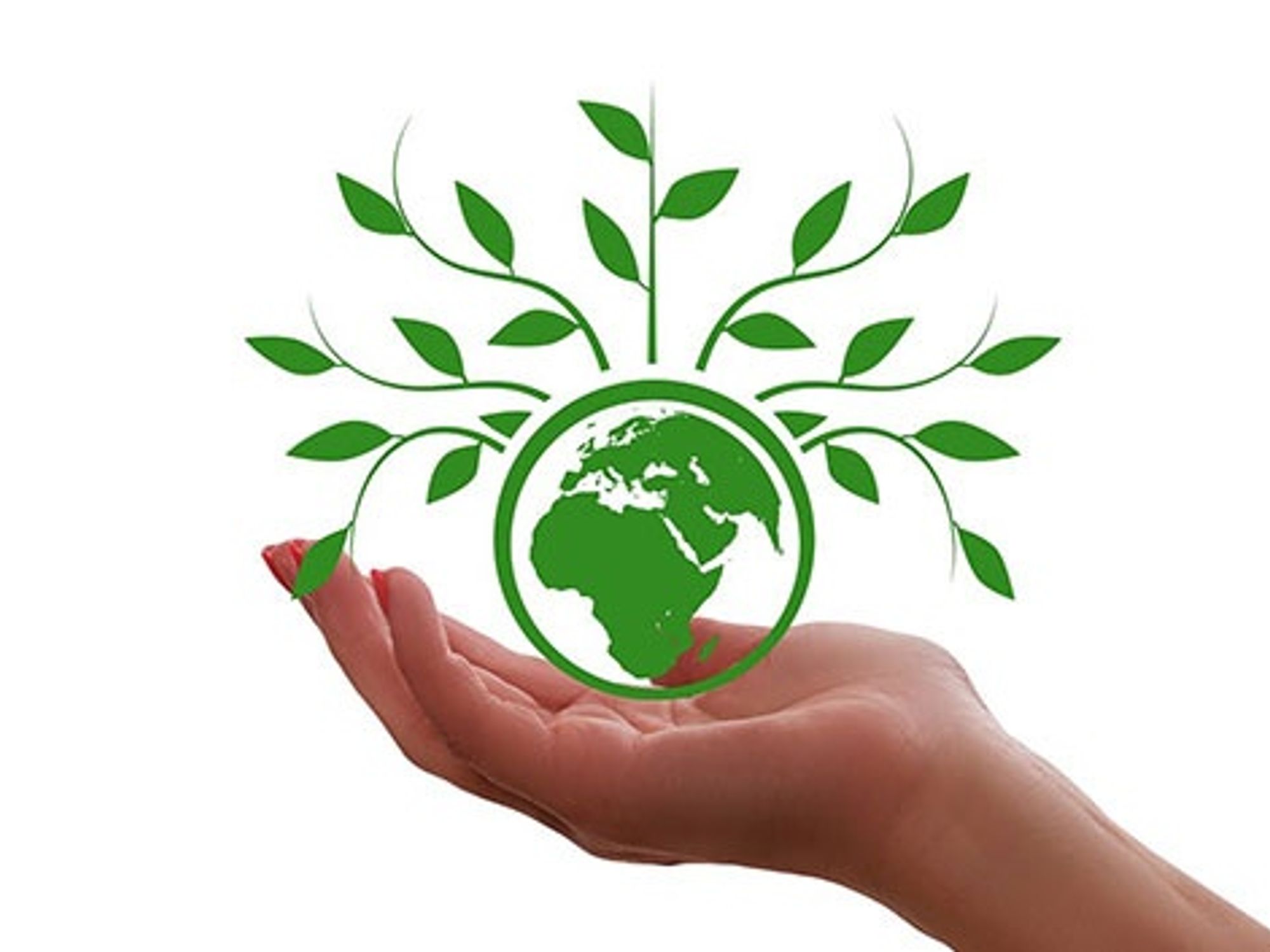 VDMA zu »Clean Industrial Deal«: Ein wettbewerbsfähiger Nachfolger des »EU Green Deal«. VDMA zu »Clean Industrial Deal«: Ein wettbewerbsfähiger Nachfolger des »EU Green Deal«.