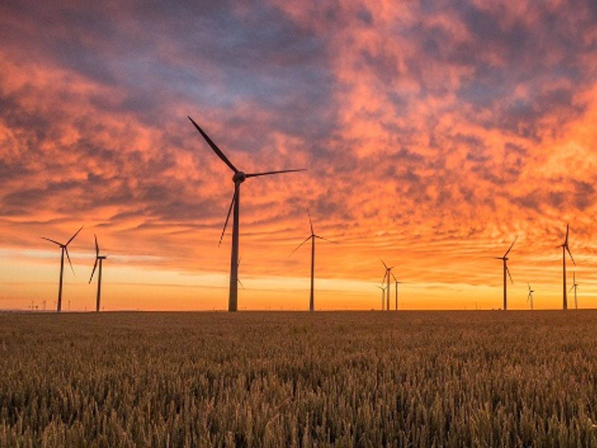 Erneuerbare Energie; Grüne Energie