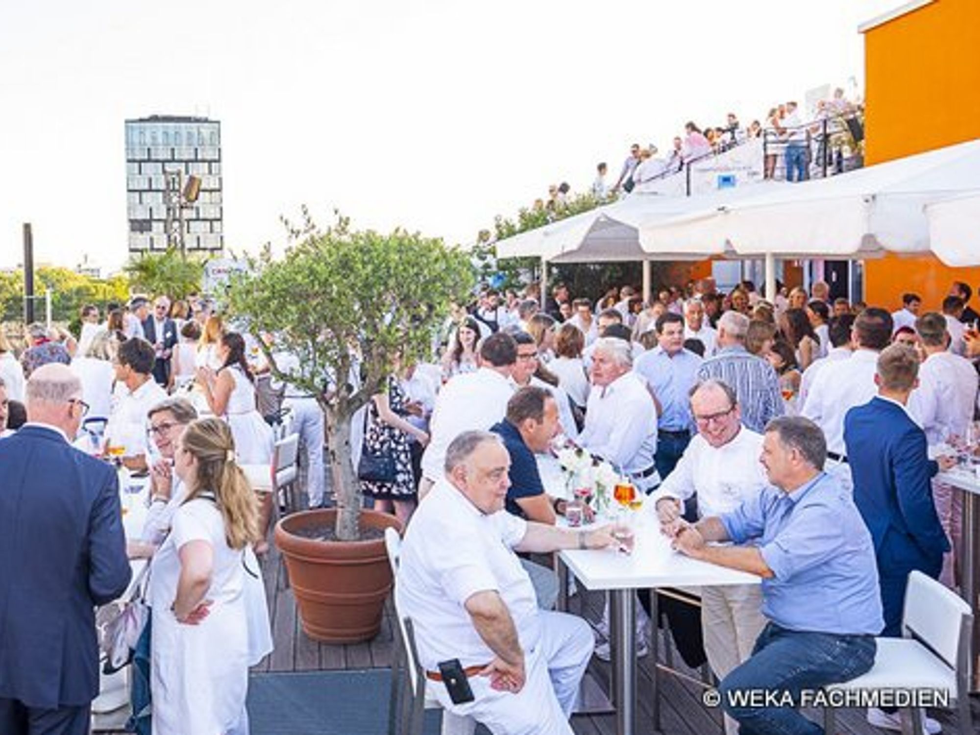 Summer night party 2019