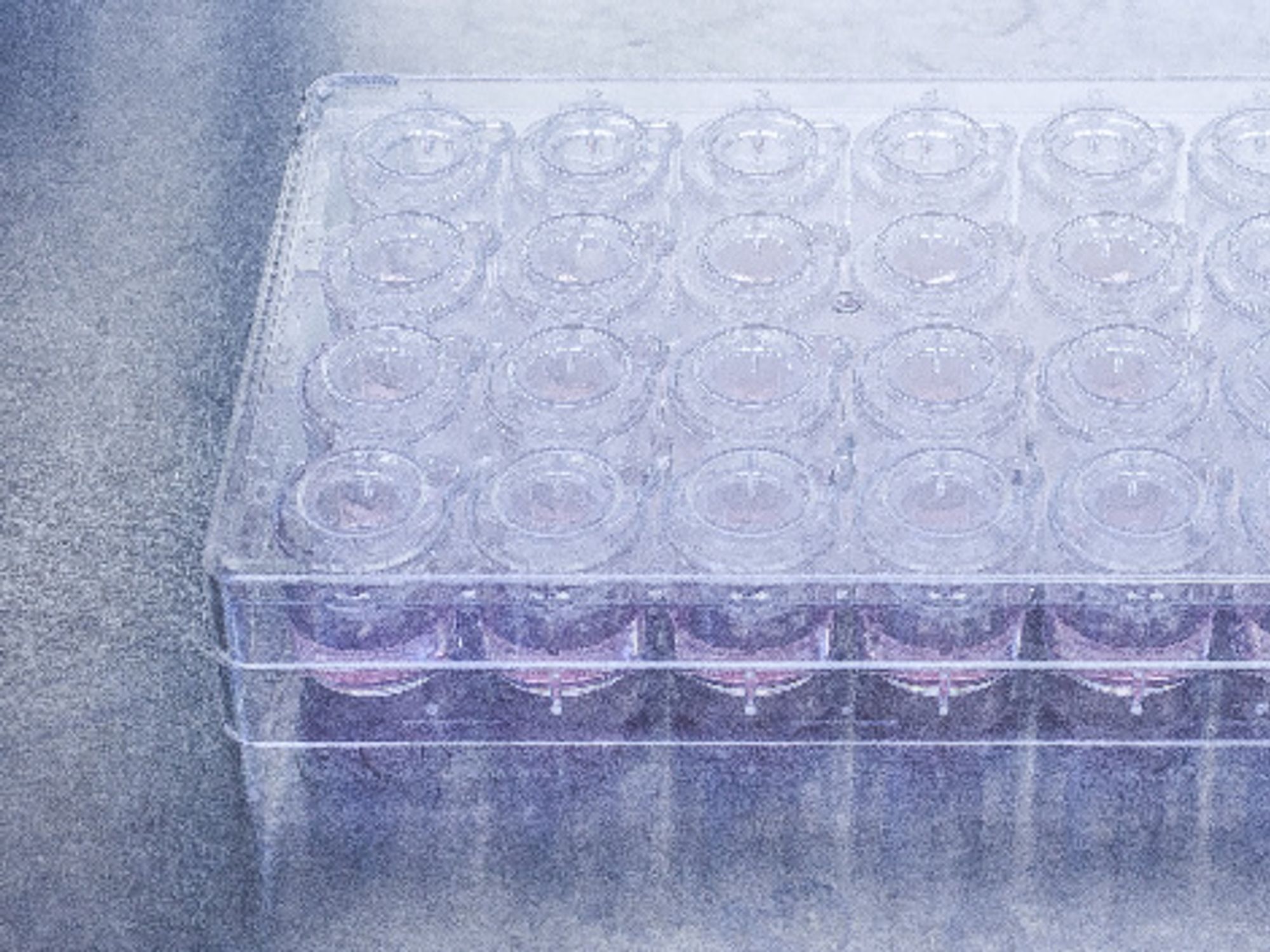 Olfactory receptors, Fraunhofer_IPA