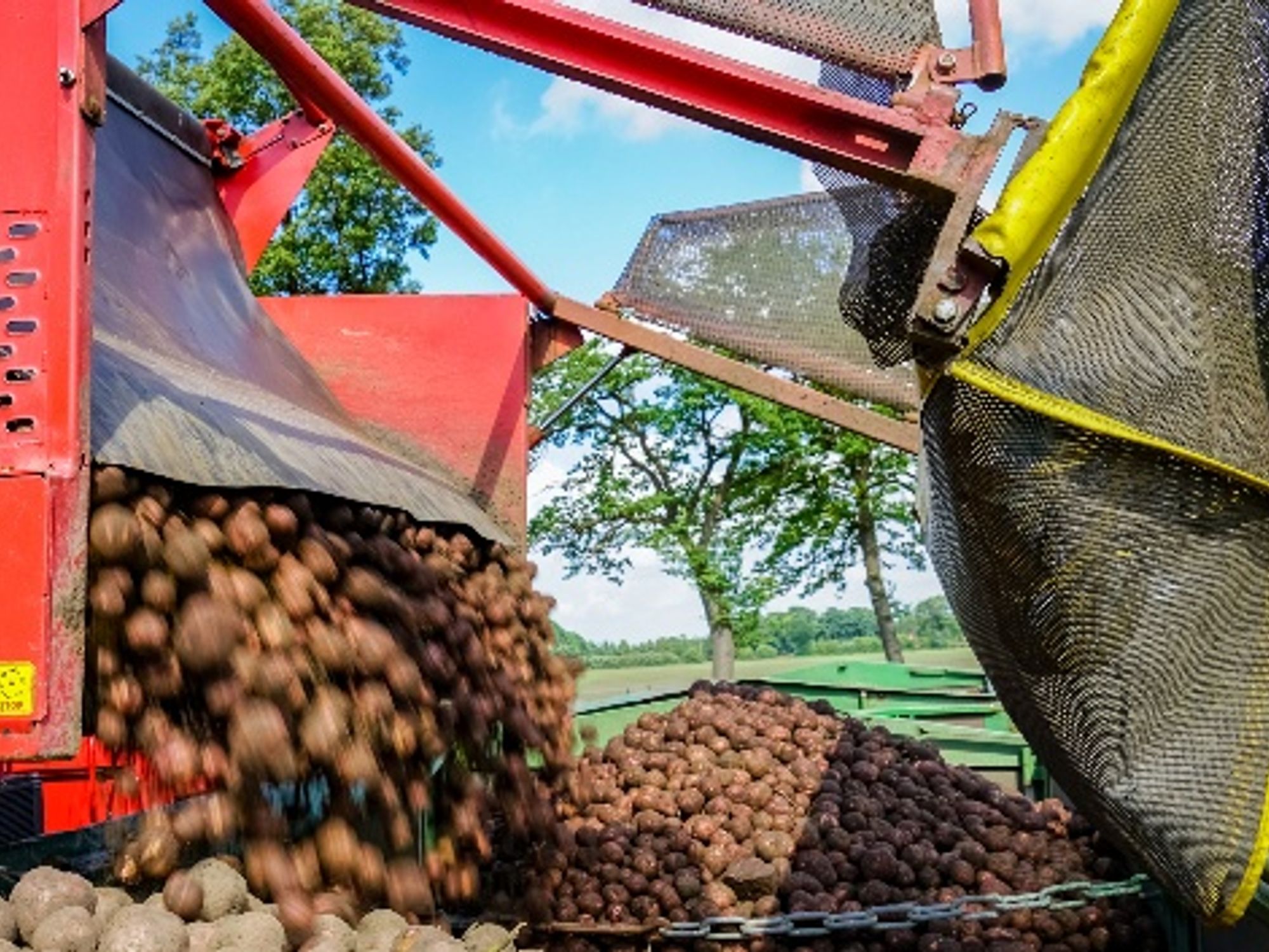 Optimization of the potato harvest, Saarland University