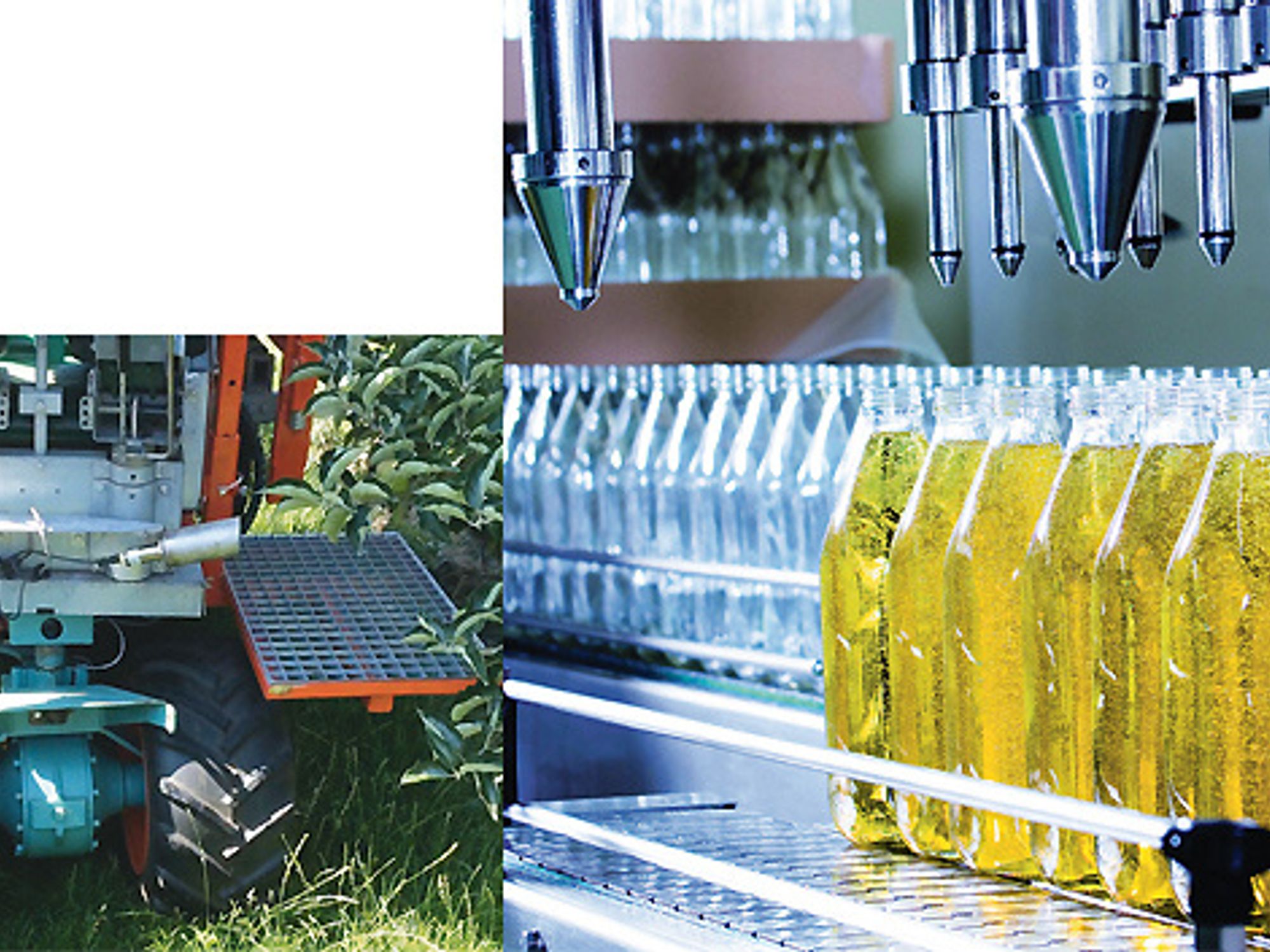 From apple to juice