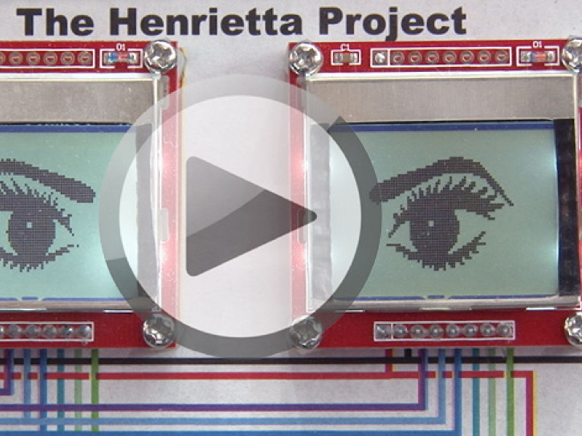 Videovorschaubild mit Henrietta, dem Siegerkit von Douglas Wong aus Kanada Videovorschaubild mit Henrietta, dem Siegerkit von Douglas Wong aus Kanada