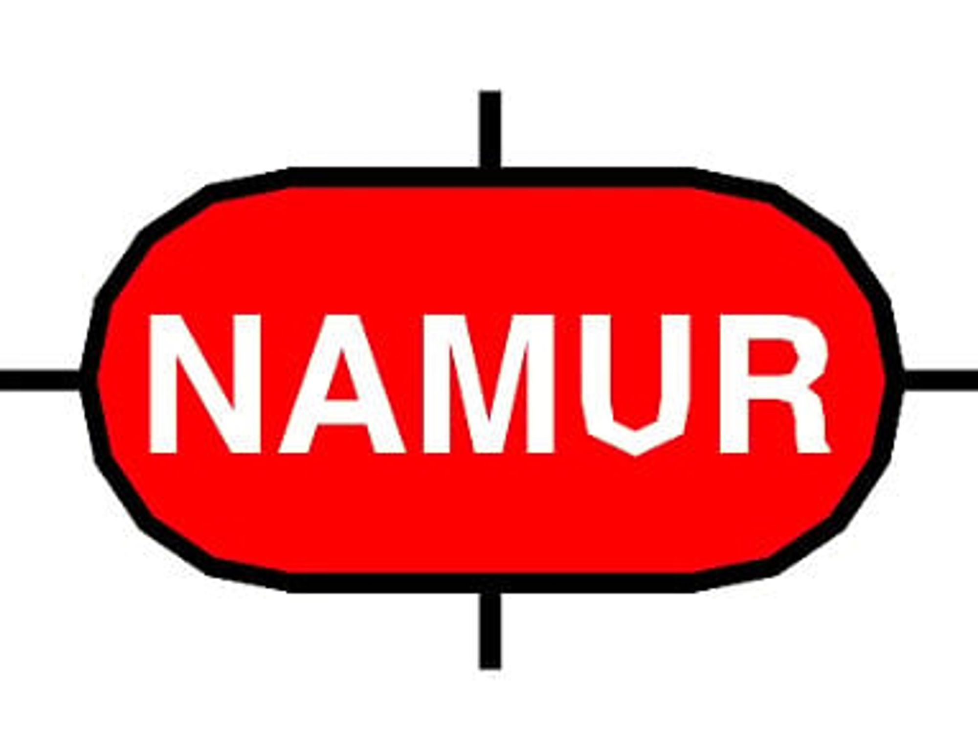 Namur, Logo Namur, Logo