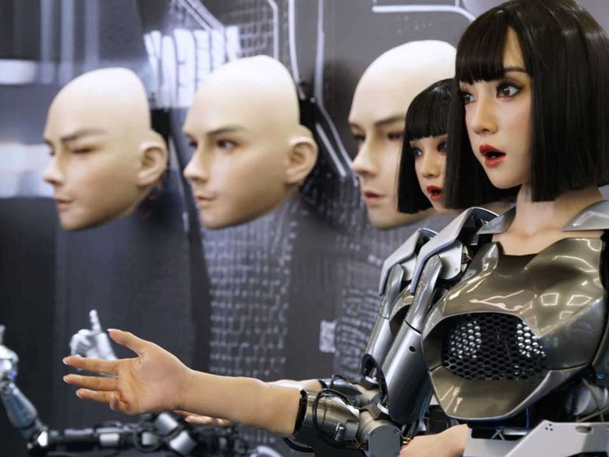 «World Robot Conference 2024» «World Robot Conference 2024»