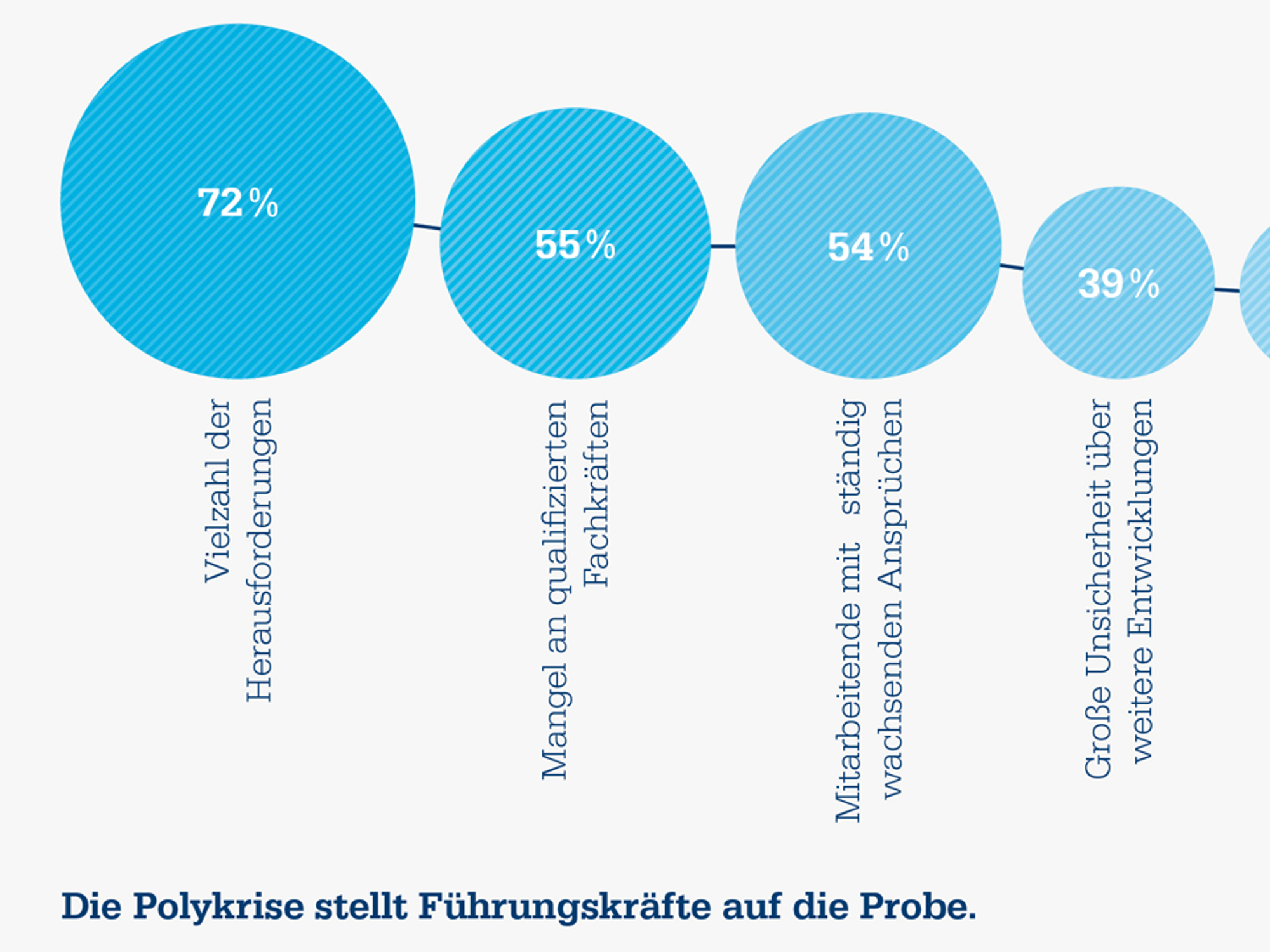 Studie 2024 »Perfomance Treiber« Studie 2024 »Perfomance Treiber«