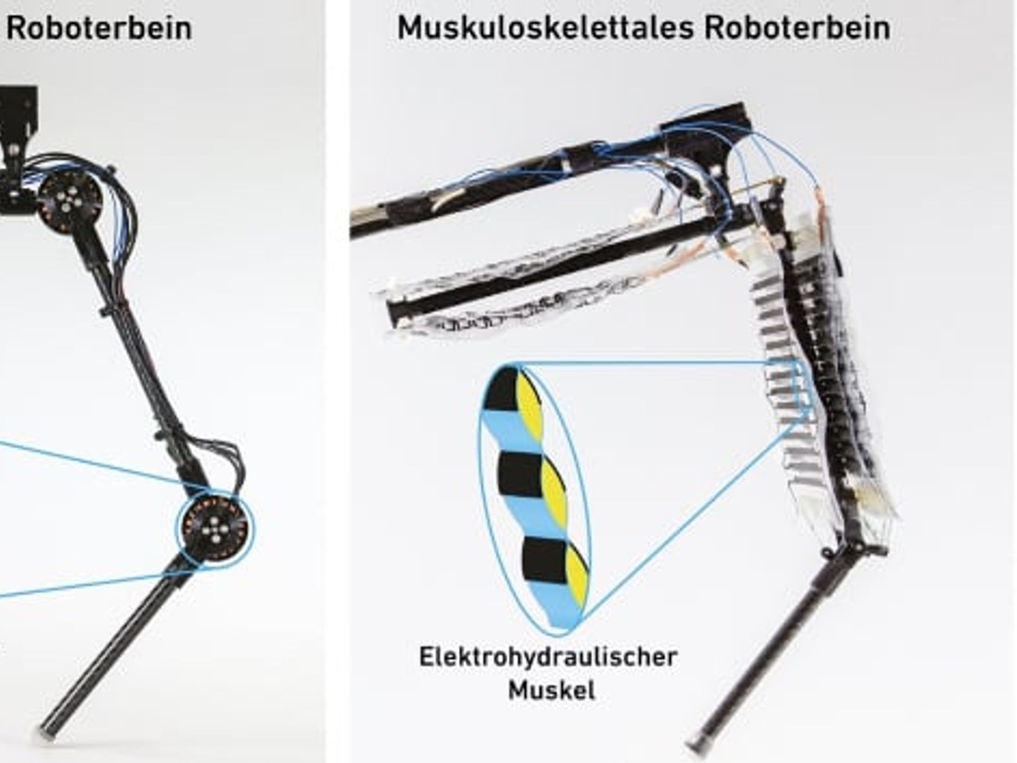 ETH Zürich Grafik1 ETH Zürich Grafik1