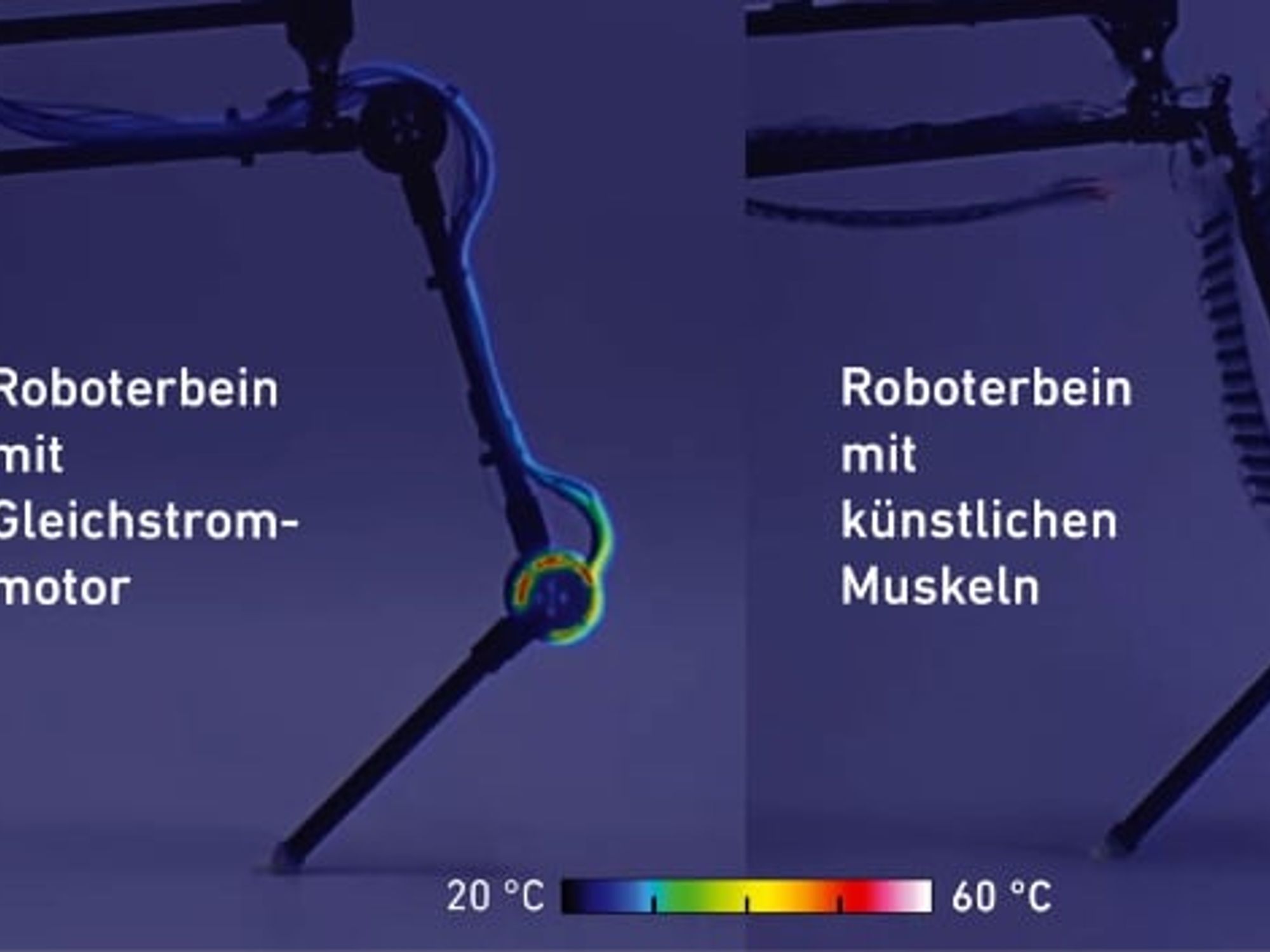ETH Zürich Grafik2 ETH Zürich Grafik2