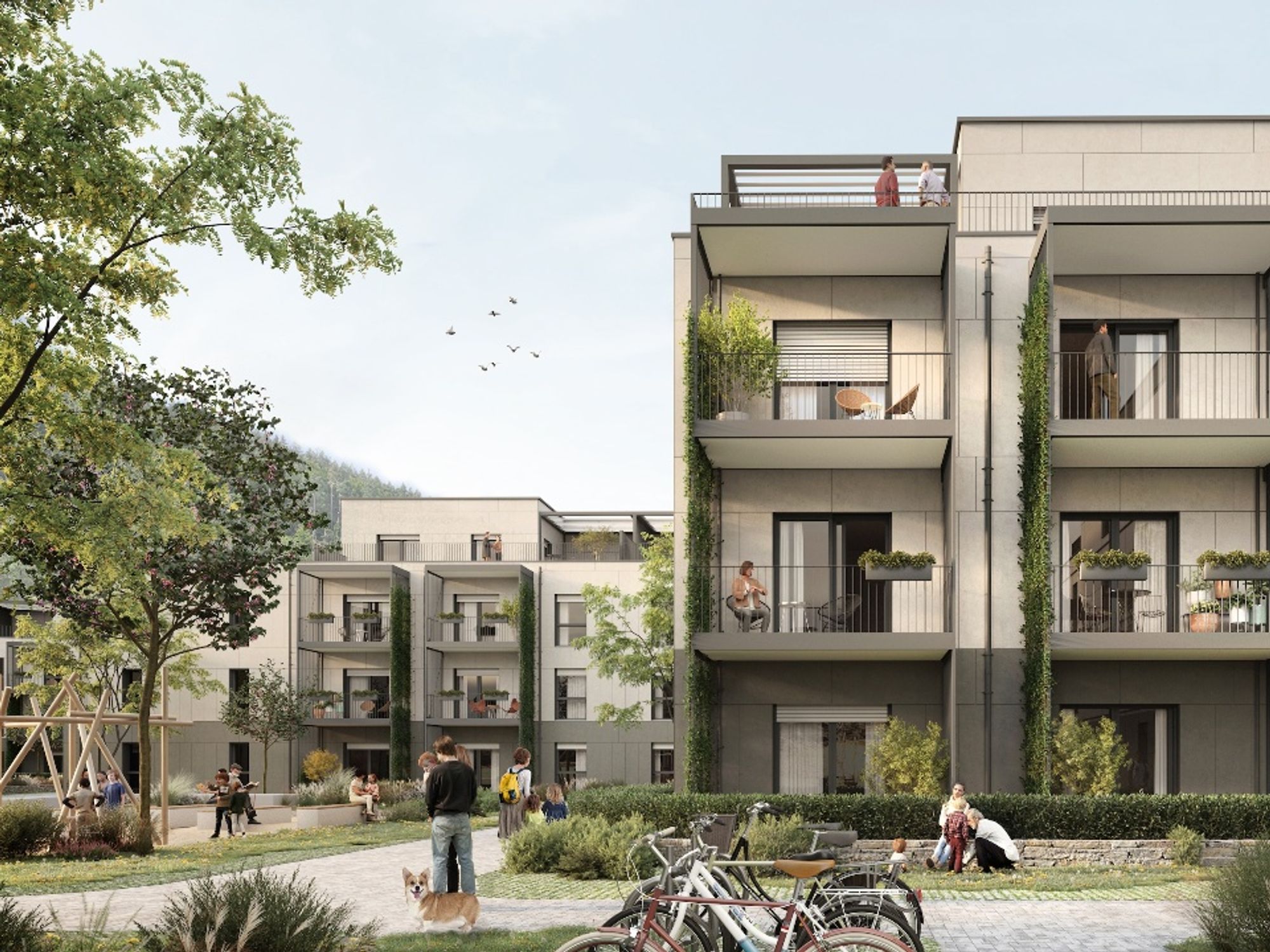Quartier in Immendingen
