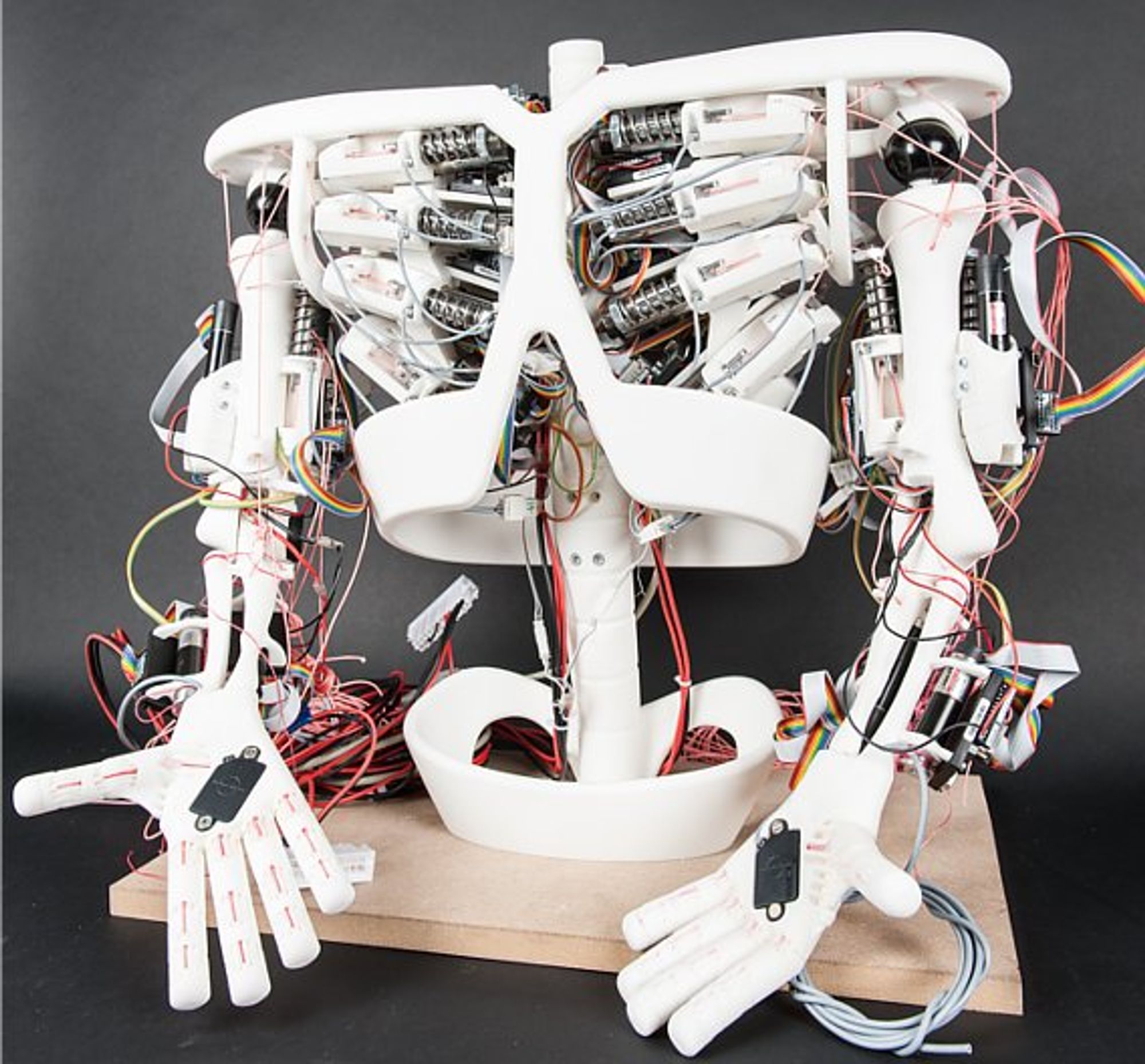 3-Maxon Motor, Geschäftsjahr 2012, Robotik, Roboy
