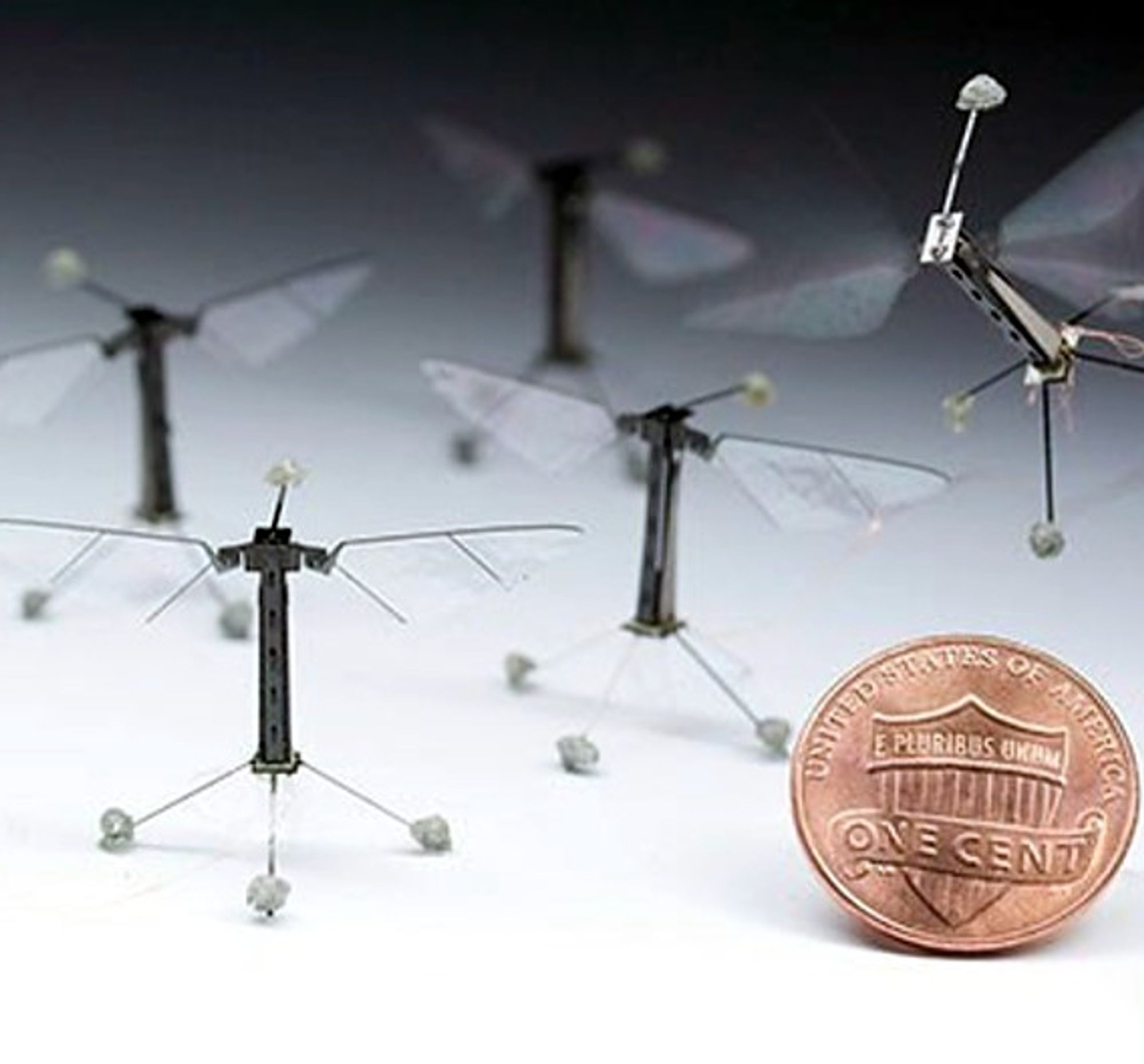 2, Harvard School of Engineering and Applied Sciences, Roboterfliege 2, Harvard School of Engineering and Applied Sciences, Roboterfliege