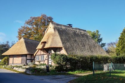 Steildach: Unscheinbar, aber doch einzigartig: Reetdach
