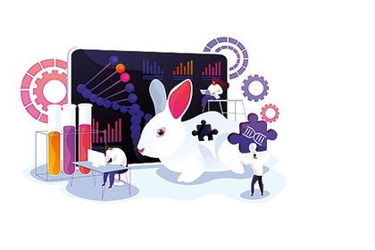 Das virtuelle Unternehmen Das virtuelle Unternehmen