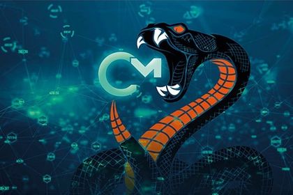 Protection for intellectual property