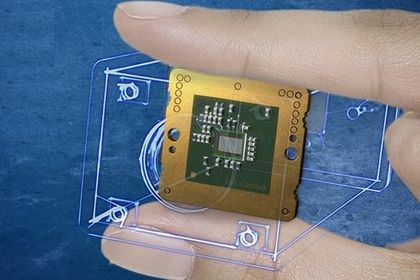 In der Größe eines Bildsensor-Moduls In der Größe eines Bildsensor-Moduls