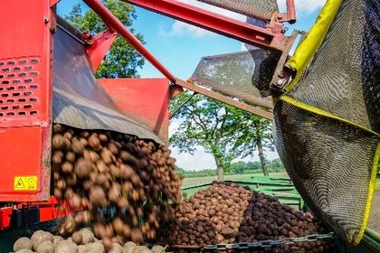 Optimization of the potato harvest, Saarland University
