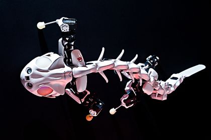 5 Pleurobot 5 Pleurobot