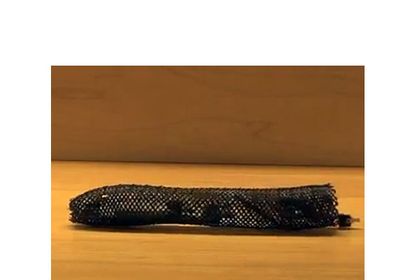 Meshworm Meshworm