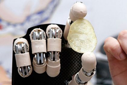 STMicroelectronics / Scuola Superiore Sant'Anna: Gemeinsames Labor für Biorobotik STMicroelectronics / Scuola Superiore Sant'Anna: Gemeinsames Labor für Biorobotik