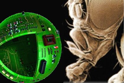 Microsys Microsys