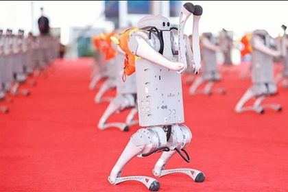 Unitree robots at the "World Robotics Conference 2024" Unitree robots at the "World Robotics Conference 2024"