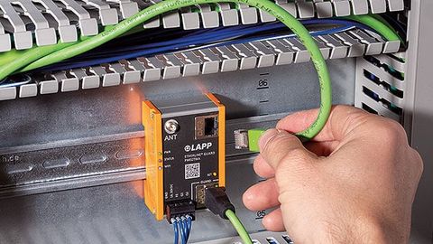 Lapp image-2