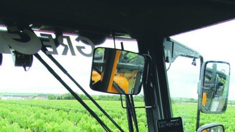 Automated line management system