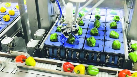 Correct placement on the conveyor belt, Omron