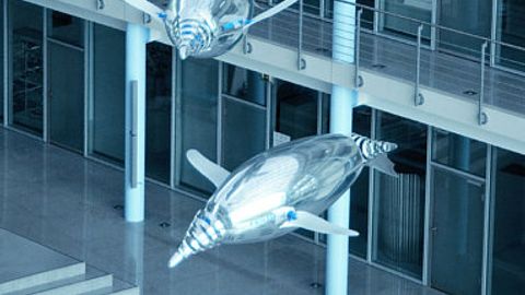 Festo, Air Penguin Festo, Air Penguin