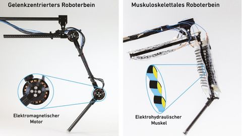 ETH Zürich Grafik1