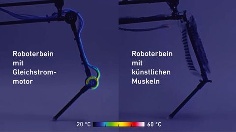 ETH Zürich Grafik2